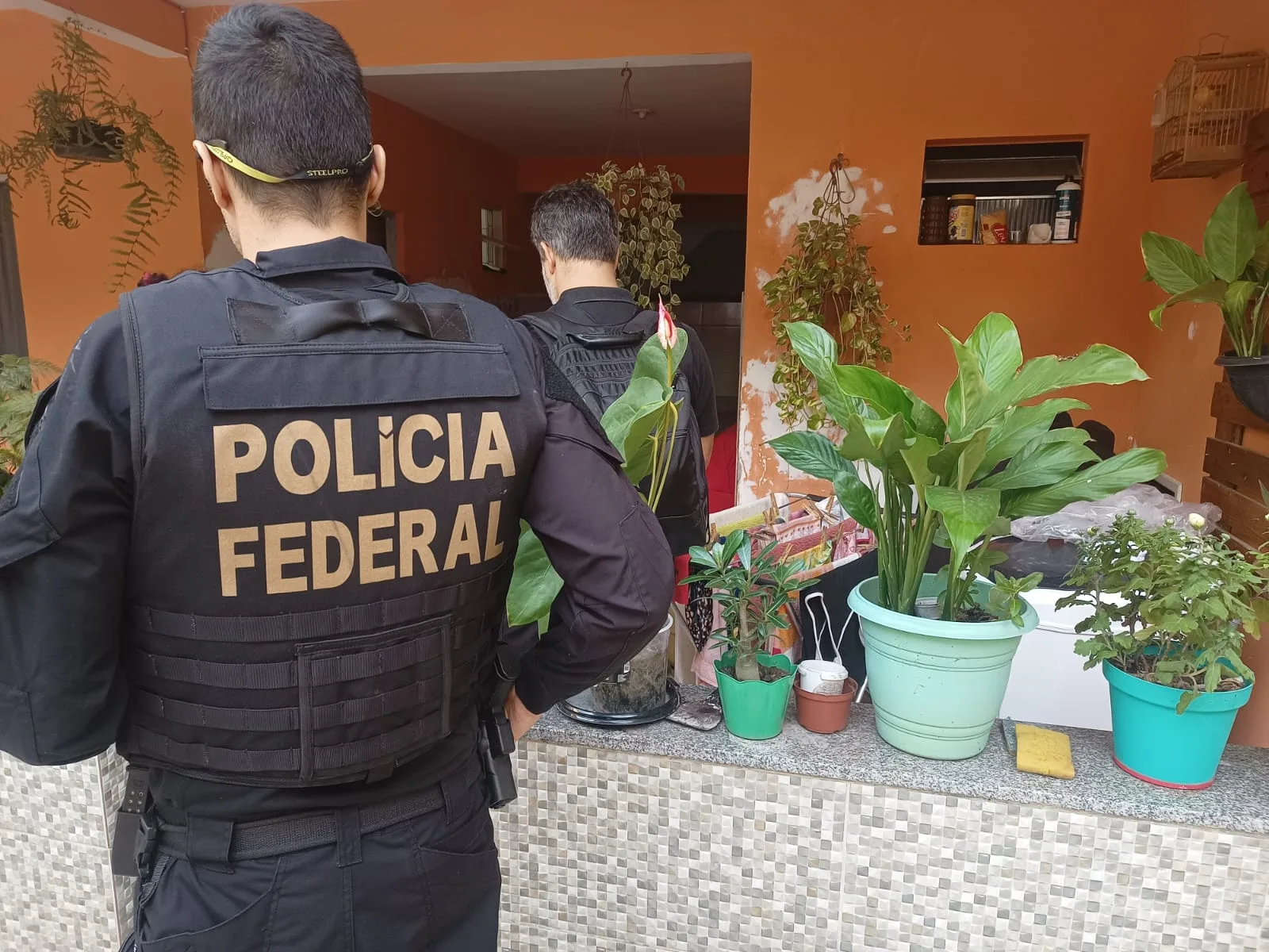 Foto: Divulgação / Polícia Federal