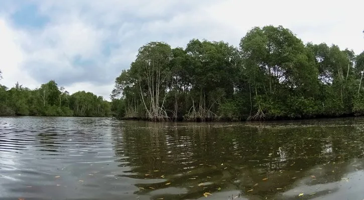 Como as mudanças climáticas afetam os moradores da região da Baía de Guanabara?