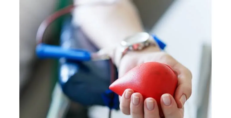 Hemoes comemora o Dia Nacional do Doador de Sangue segunda-feira(25)