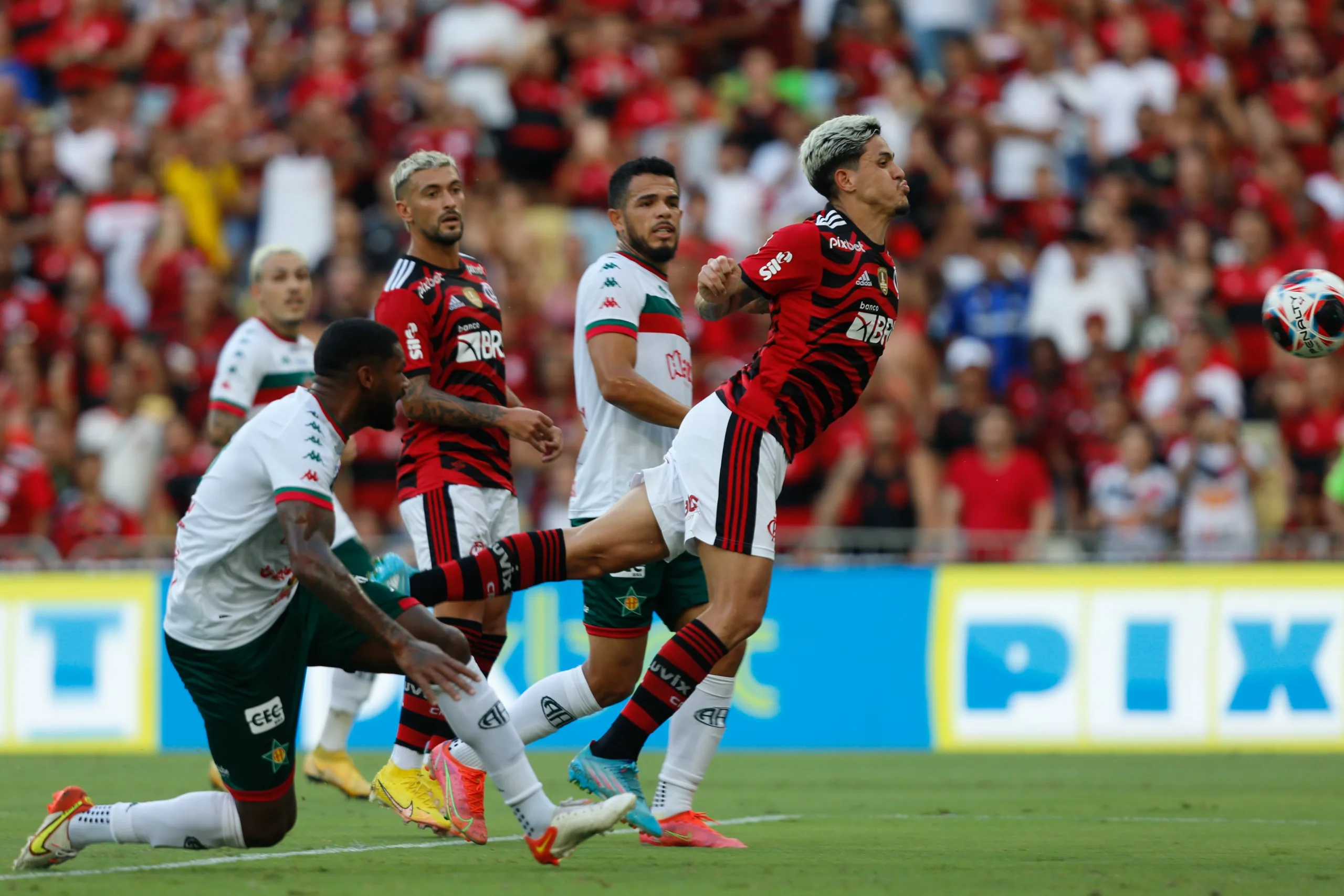 Foto: Gilvan de Souza/Flamengo