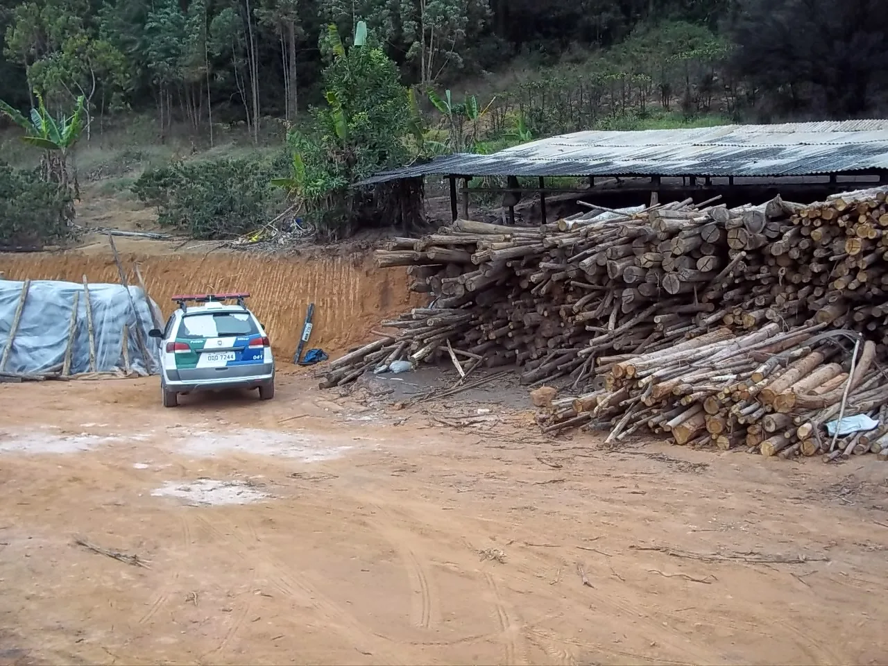 Oito fornos de carvão são interditados pela Polícia Ambiental em Domingos Martins