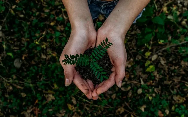 Serviço de repotencialização de rolamentos reduz em 26% emissão de CO2
