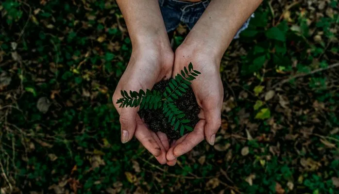 Serviço de repotencialização de rolamentos reduz em 26% emissão de CO2