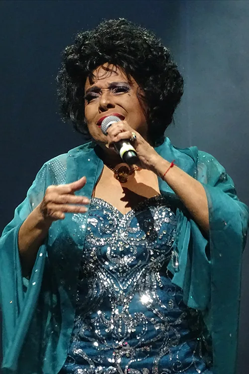 Eliana Pittman lança álbum mesclando gravações atuais e material de arquivo