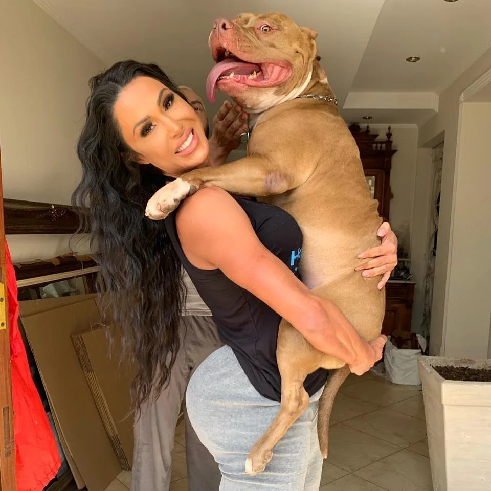 Pitbull de Gracyanne Barbosa chama atenção por porte físico 'maromba'