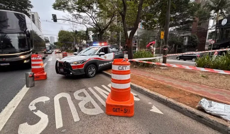 Foto: Divulgação/Polícia Civil de SP