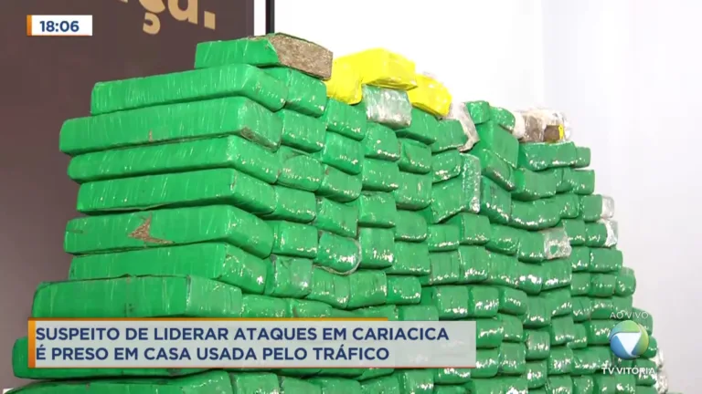 Bandidos estavam com 250 kq de maconha em casa