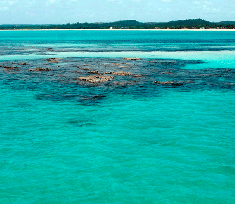 Mancha de óleo atinge praia dos Carneiros, um belo cartão-postal de Pernambuco