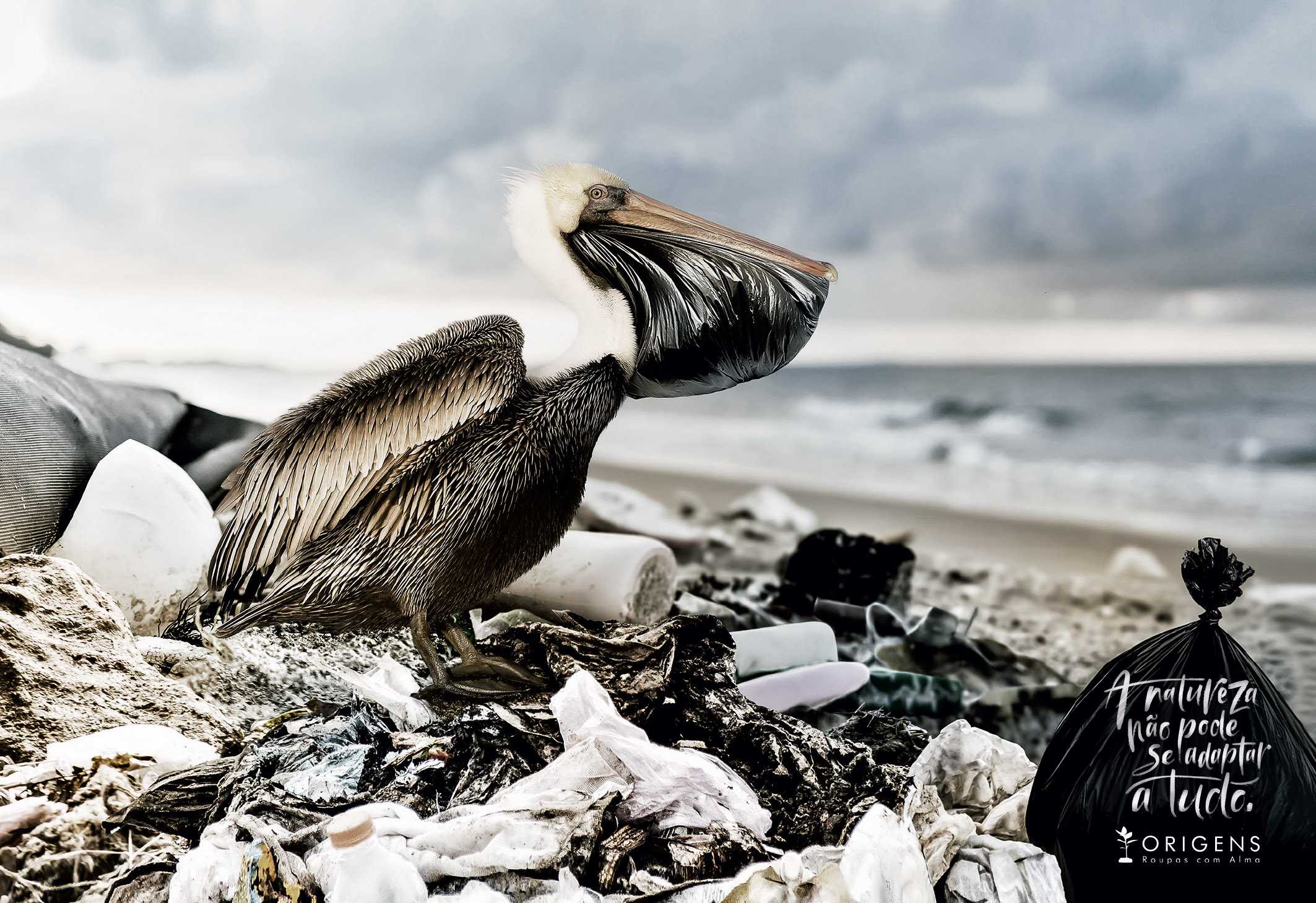 Campanha capixaba sobre alerta ambiental conquista mais um prêmio internacional