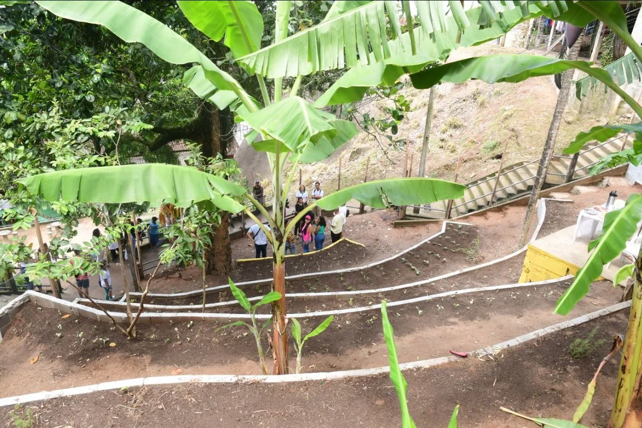 Moradores de morro de Vitória transformam lixão em horta para consumo e venda