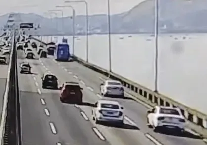 VÍDEO | Incrível: gato cai da Ponte Rio-Niterói e é resgatado com vida