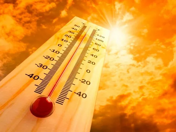 Temperatura e energia mais altas: saiba como evitar as surpresas na conta