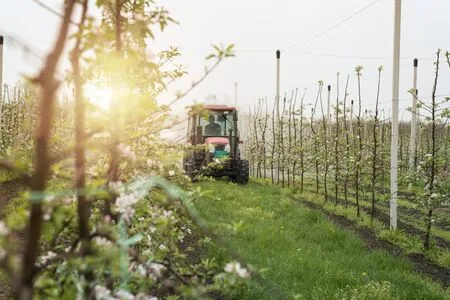 Oportunidades de investimentos se multiplicam no agronegócio