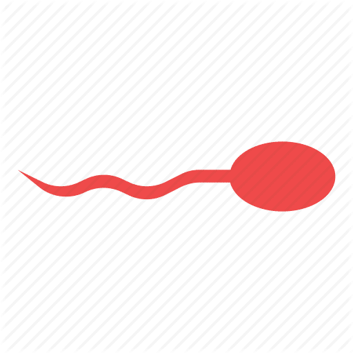 Sex_-_porn-38-_Spermatozoon_-_Sperm_-_Conception_-_spermatozoid_-_Birth-512
