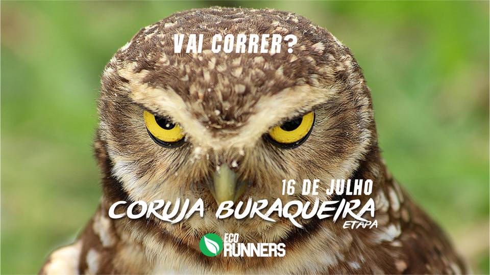 Últimos dias de inscrições para a 2ª edição da Coruja Buraqueira