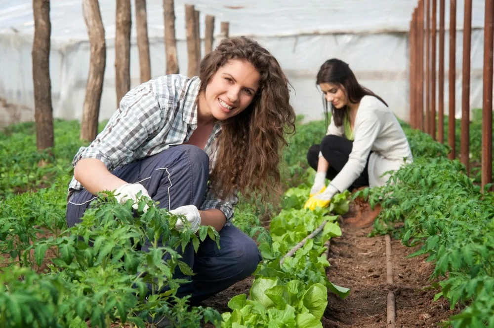 Permanência no campo é tema de conferência regional da Escola Agrícola de Cachoeiro