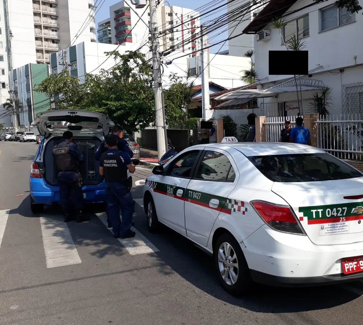 Foto: Divulgação/ Guarda Municipal de Vitória