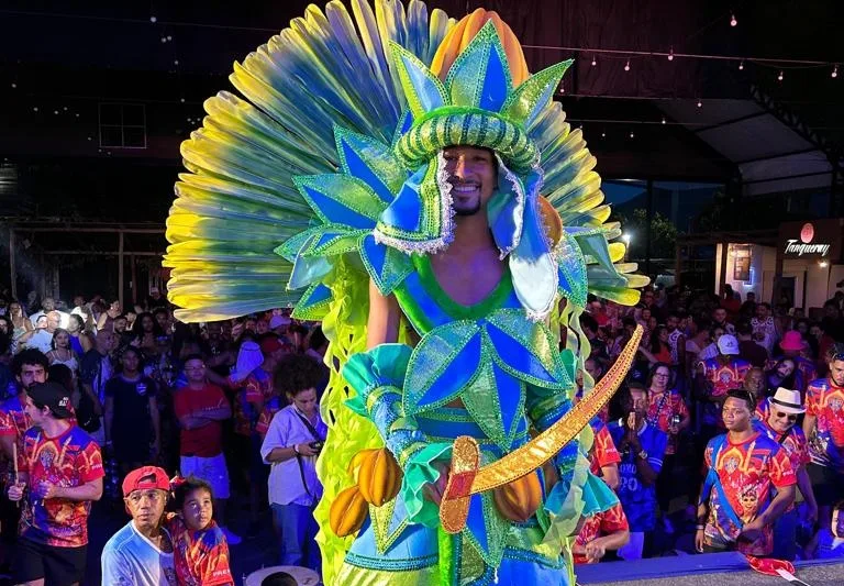 Carnaval de Vitória: saiba como comprar fantasias para desfilar em escolas do grupo especial