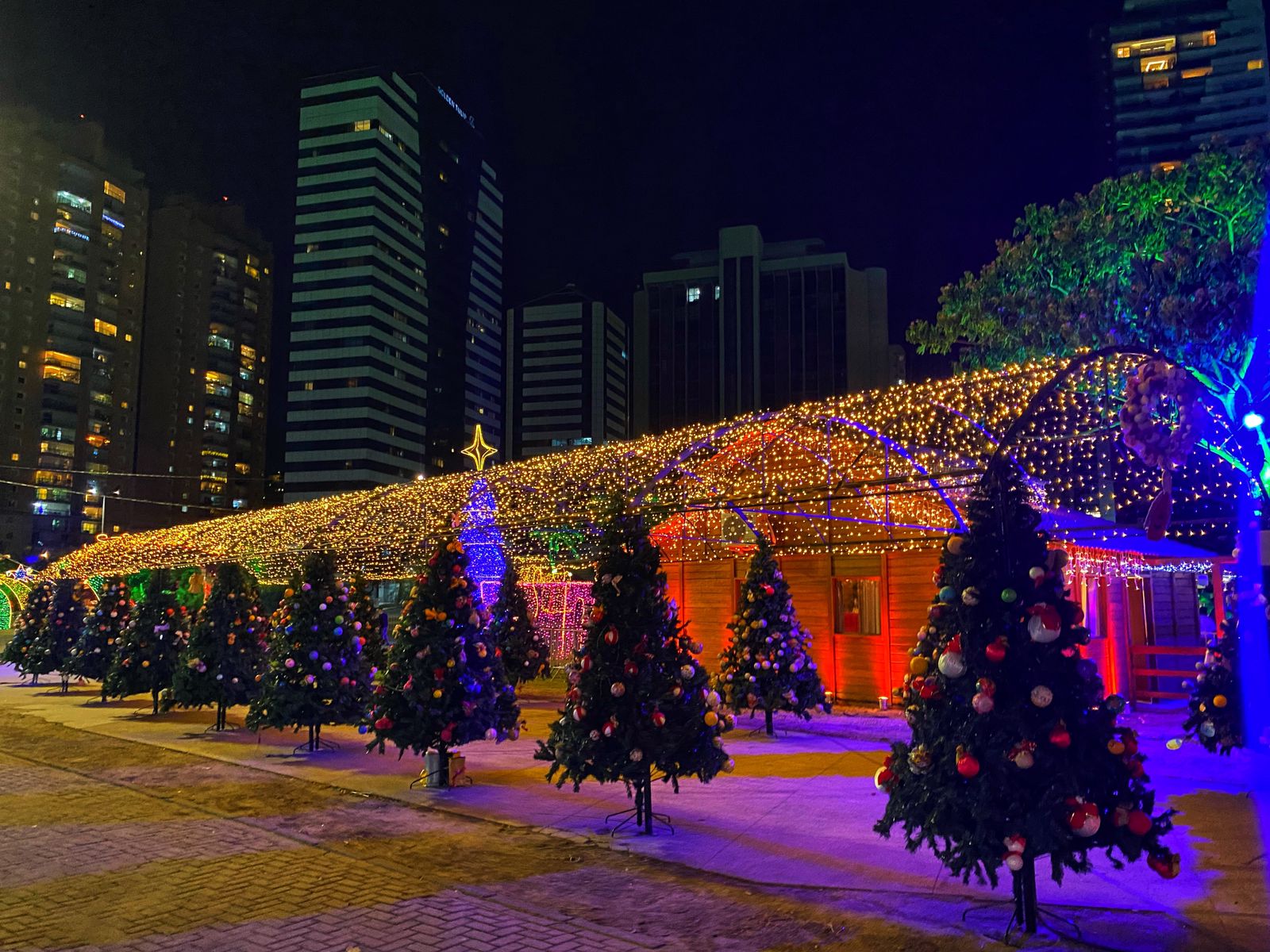 Vila de Natal: Mais de 100 pinheiros, tobogã e roda-gigante na Praça do Papa; veja programação