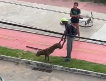 VÍDEO | Cão da raça American Bully foge e ataca homem e outro cachorro em Vila Velha