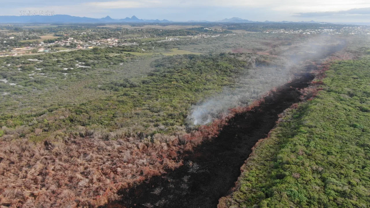 Bombeiros indicam o que causou incêndio no Parque Paulo César Vinha