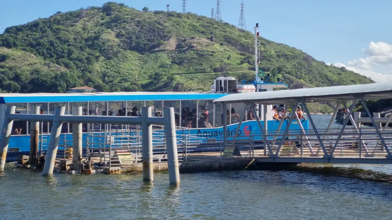 Foto: Thiago Soares/Folha Vitória