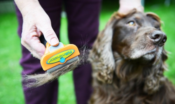 Furminator cachorros