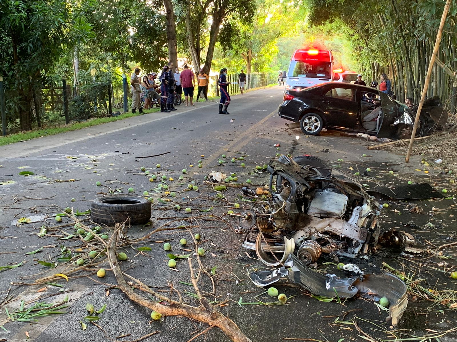 Mulher morre após carro atingir árvore em Nova Venécia