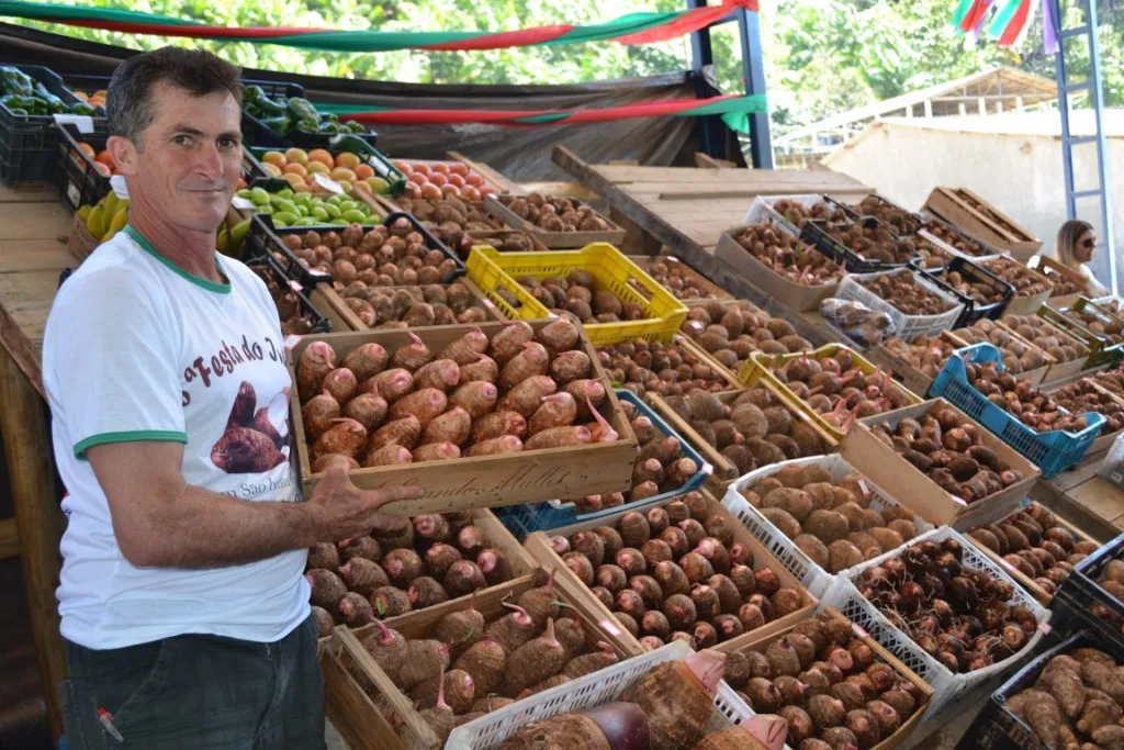 Município capixaba terá festa para comemorar maior produção de inhame do Brasil