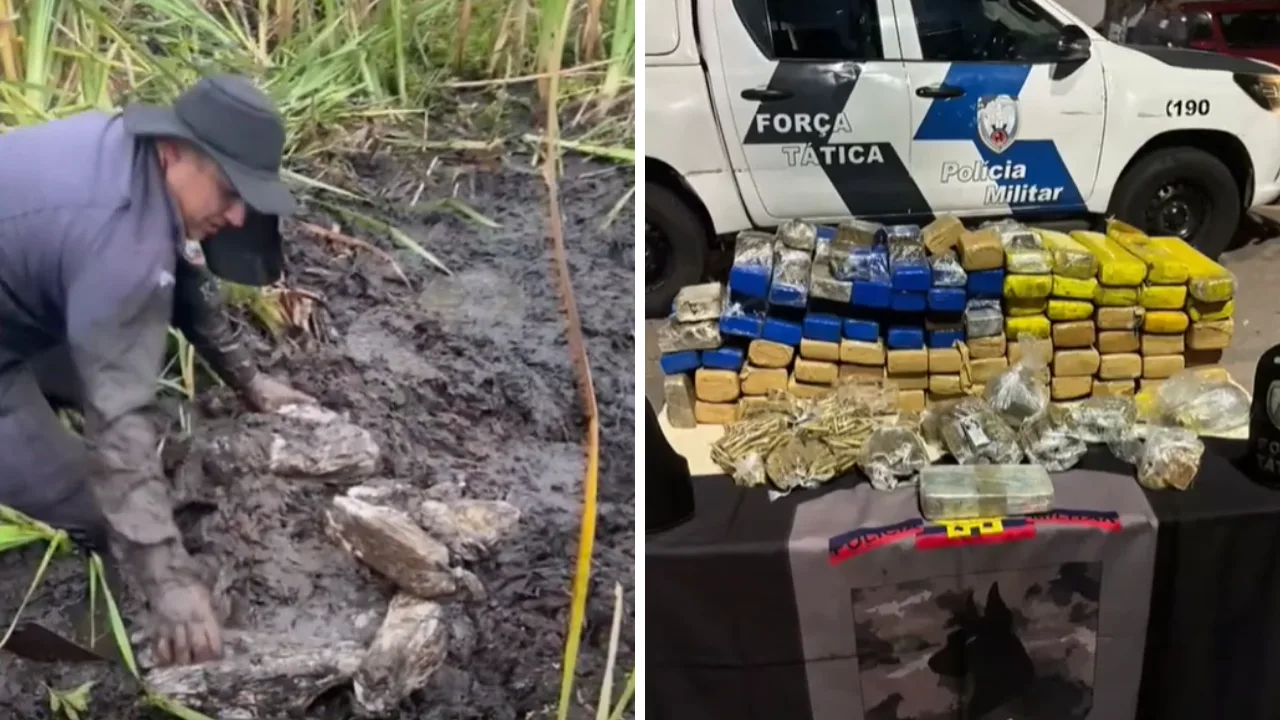 VÍDEO | Mais de 75 kg de drogas são encontradas em "pantanal" na Serra