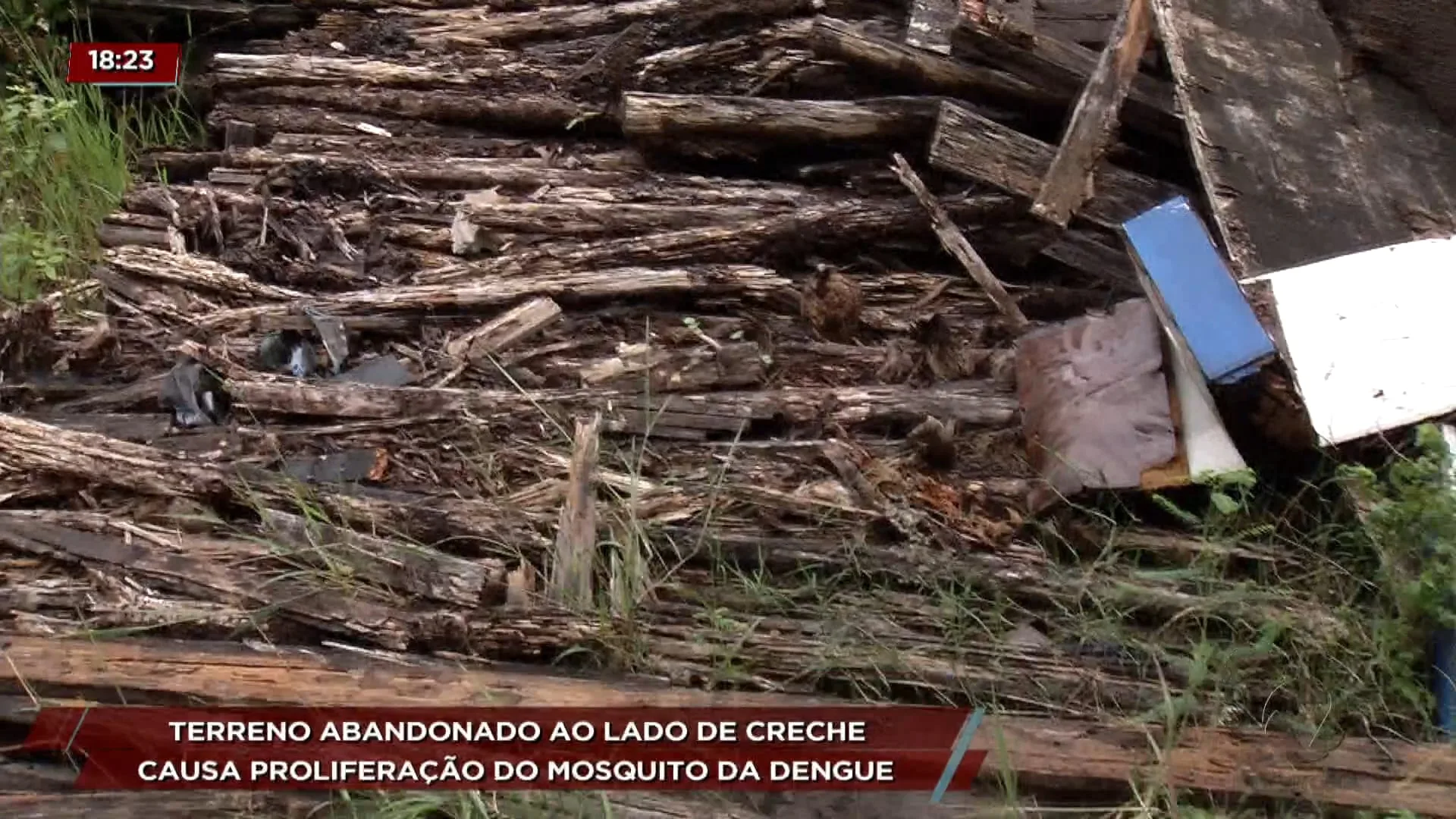 Terreno abandonado ao lado de creche causa proliferação do mosquito da dengue