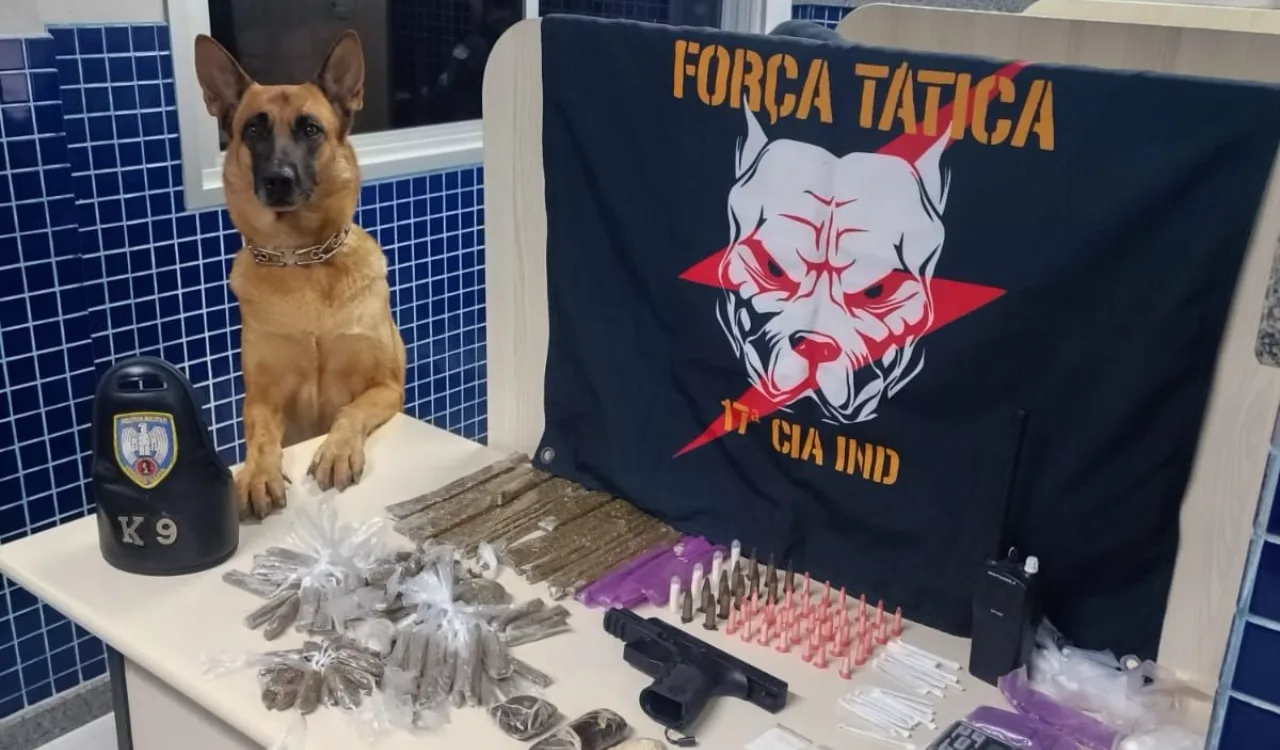 Drogas, armas e munição apreendidos com ajuda de cão policial em Vila Velha