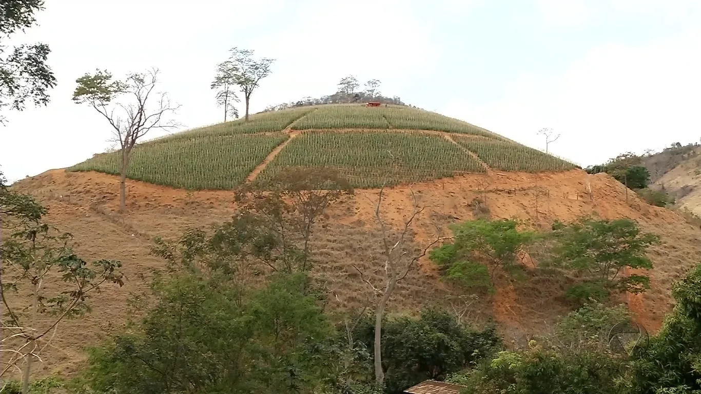 Produtores rurais sofrem com prejuízos causados pela falta de chuva no interior do ES