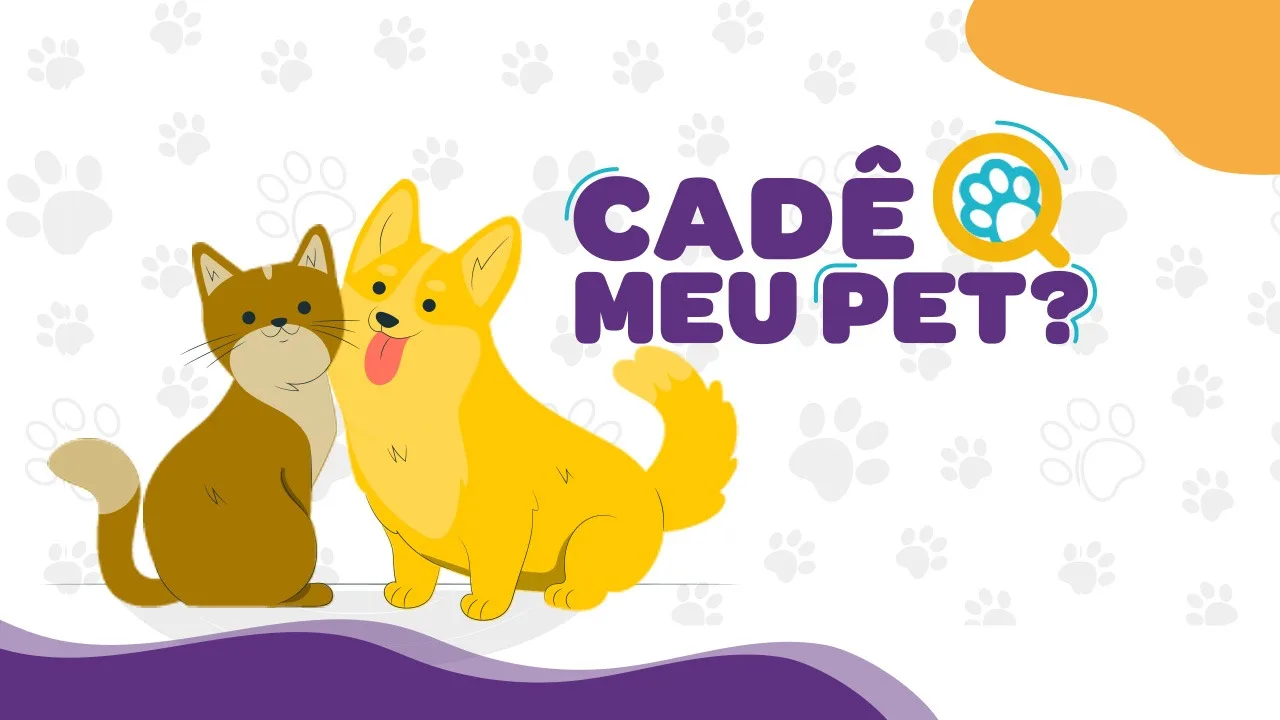 Cadê meu pet? Saiba como divulgar animais perdidos no Folha Vitória