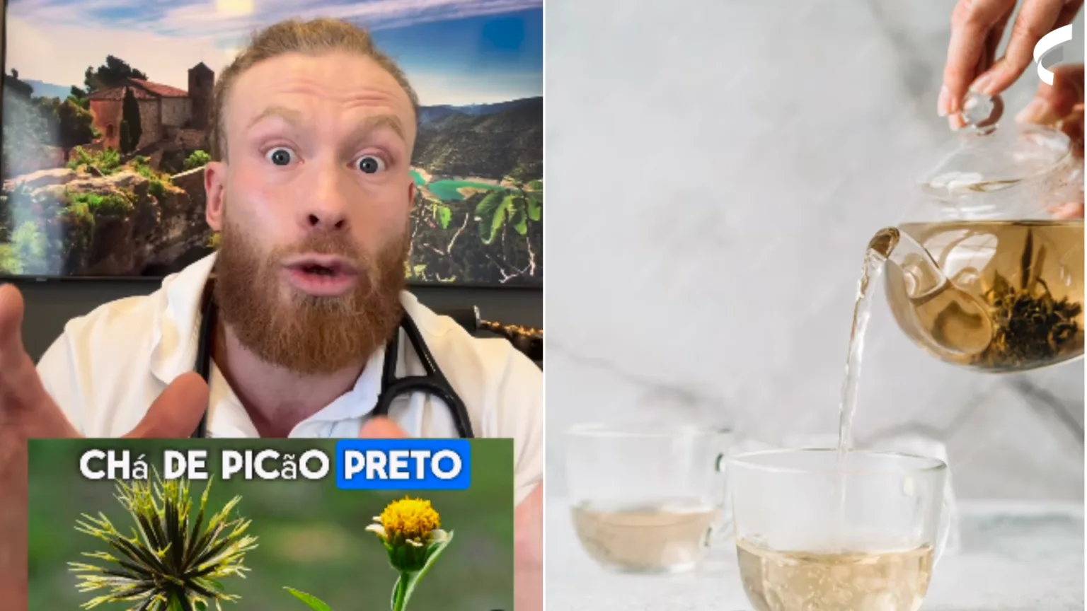 Chá de picão preto desincha e seca barriga: veja como preparar receita ...
