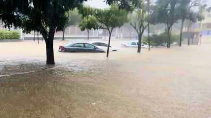 Chuva forte derruba árvore e causa alagamentos em Aracruz