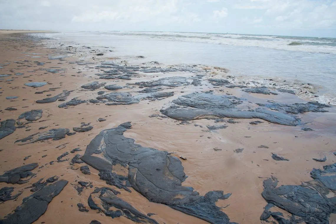 Mais de 525 toneladas de resíduos foram retiradas de praias com óleo