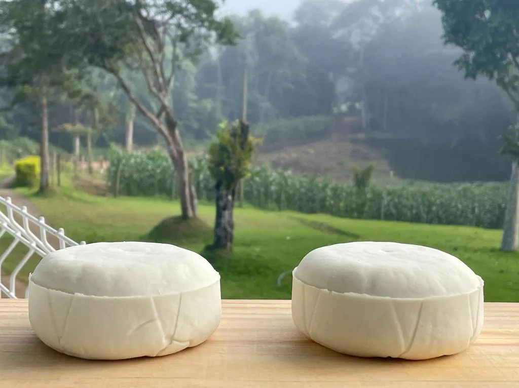 Queijo produzido no ES ganha prêmio nacional e fica entre os melhores do Brasil