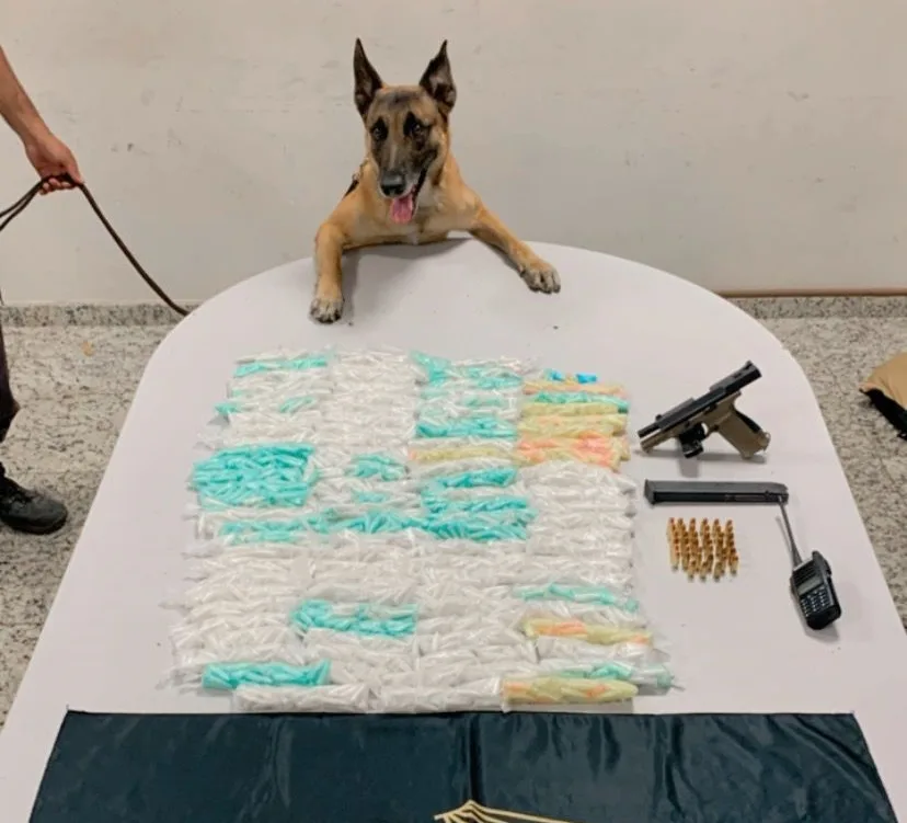 VÍDEO | Cão farejador encontra mais de 2 mil pinos de cocaína e arma, em Vitória