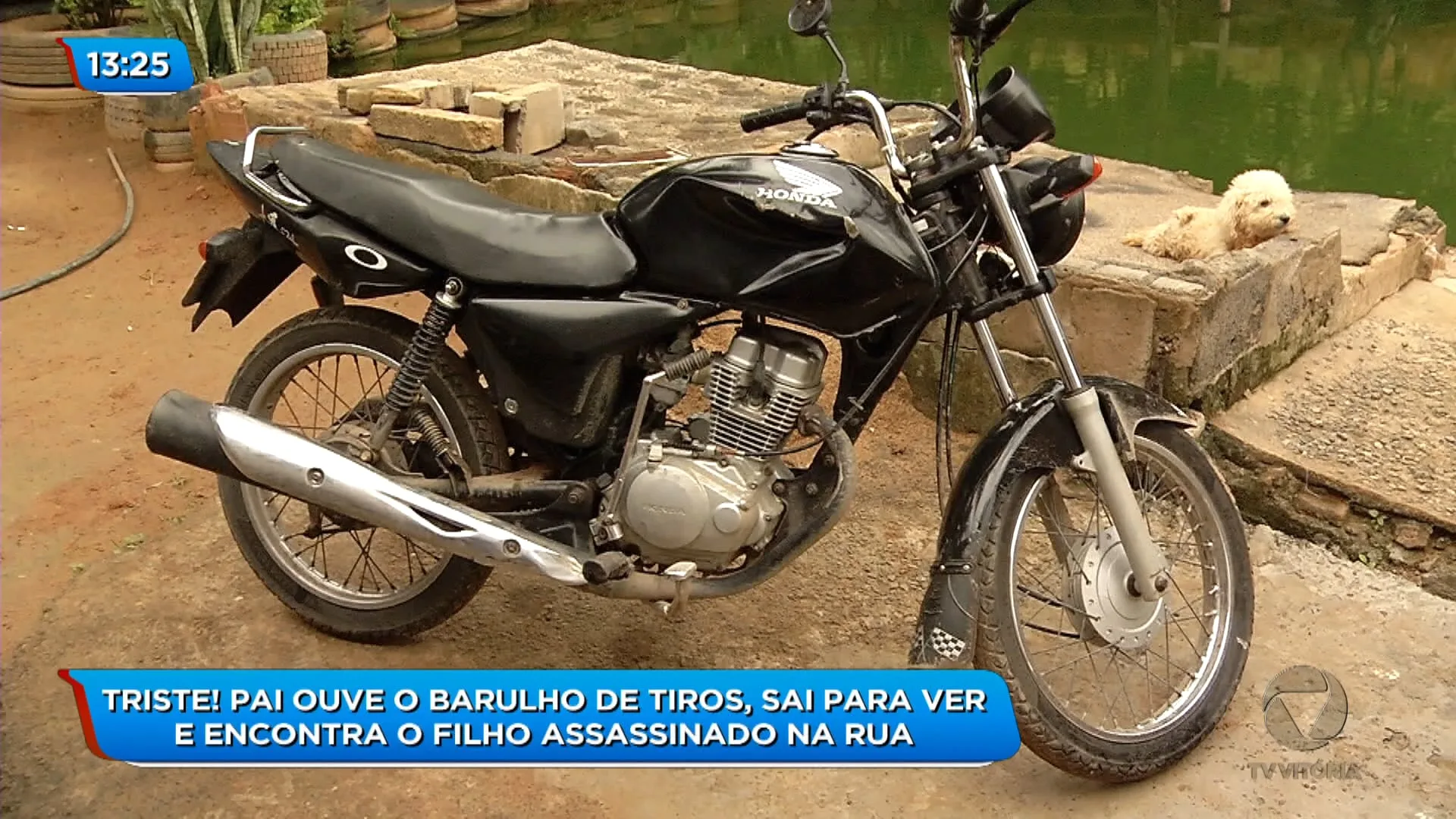 Rapaz é assassinado na rua de casa