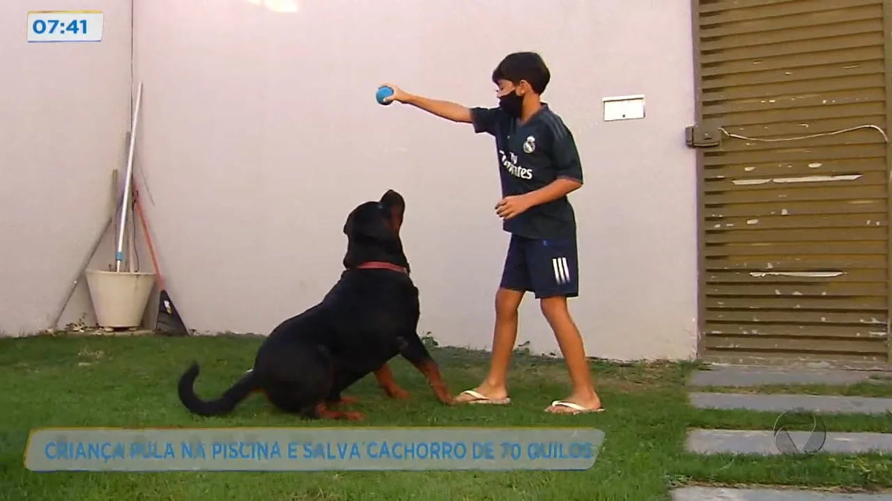 Criança pula na piscina para salvar cachorro