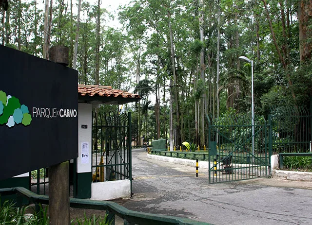 Área próxima ao Parque do Carmo em São Paulo é atingida por incêndio