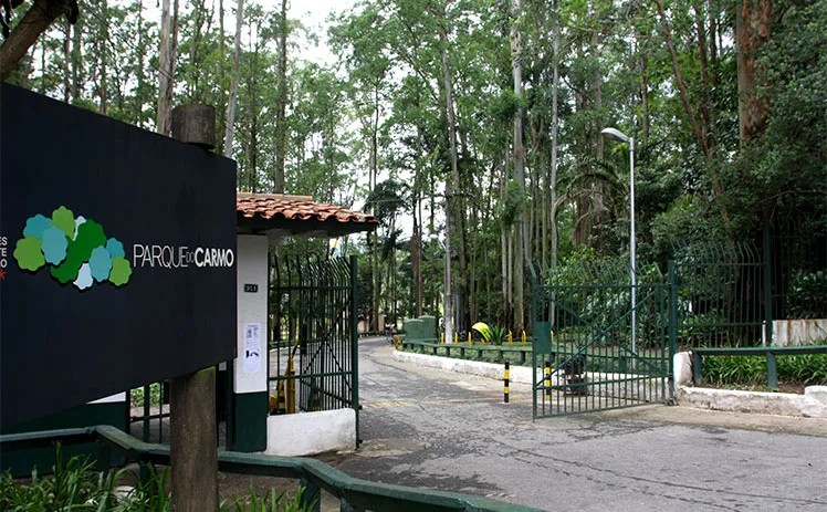 Área próxima ao Parque do Carmo em São Paulo é atingida por incêndio