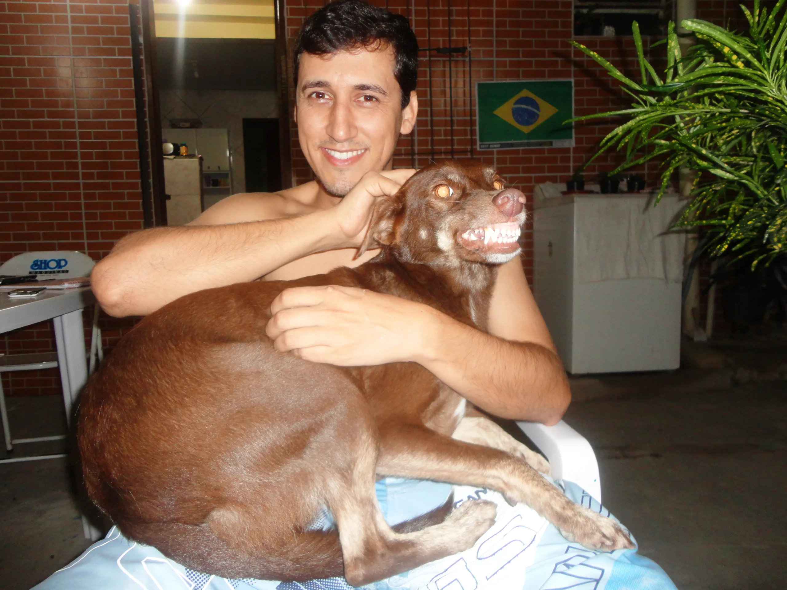 Pet blog Mineiro!