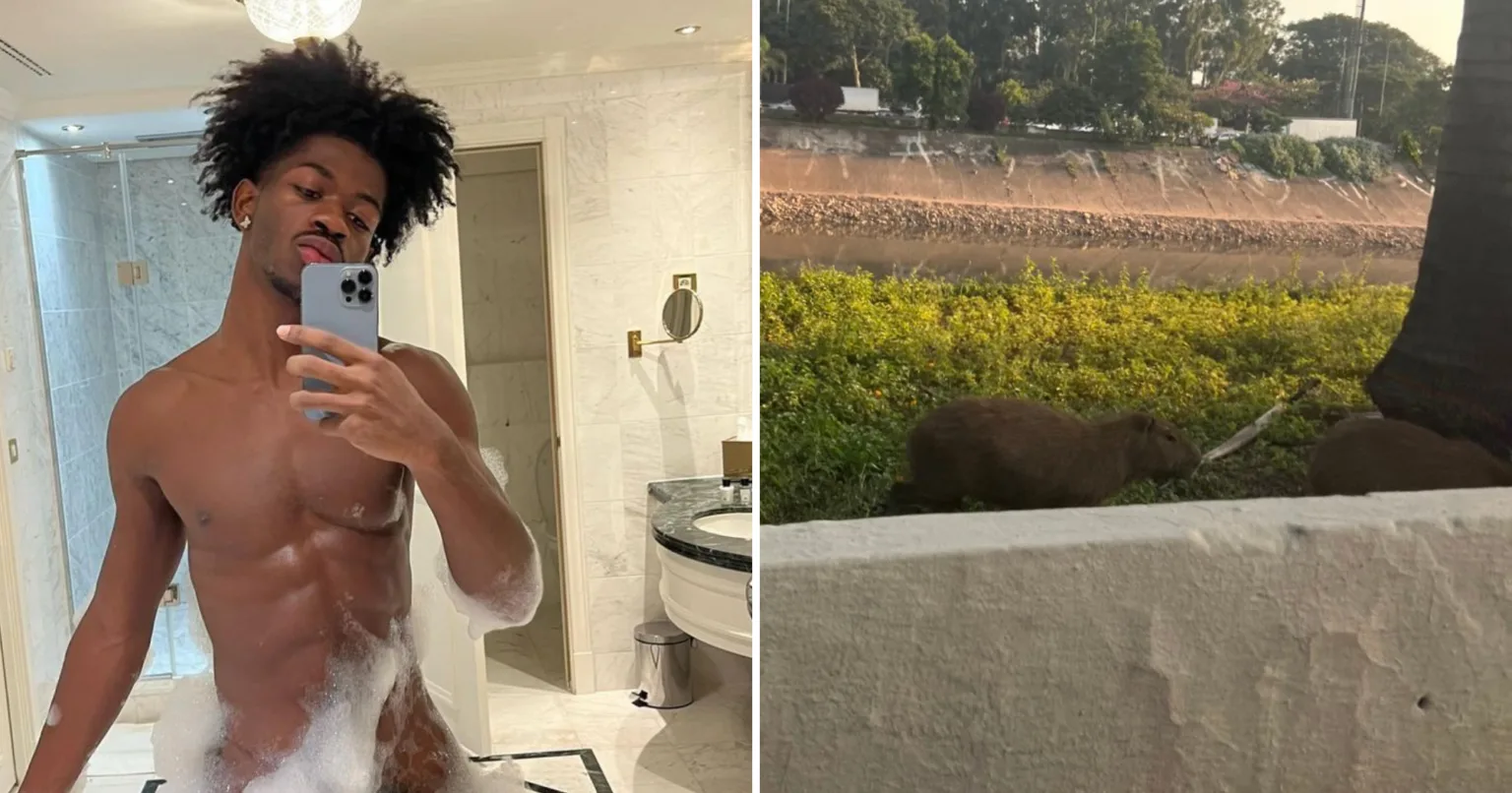Em SP, Lil Nas X se choca com capivaras: "Hamster gigante"