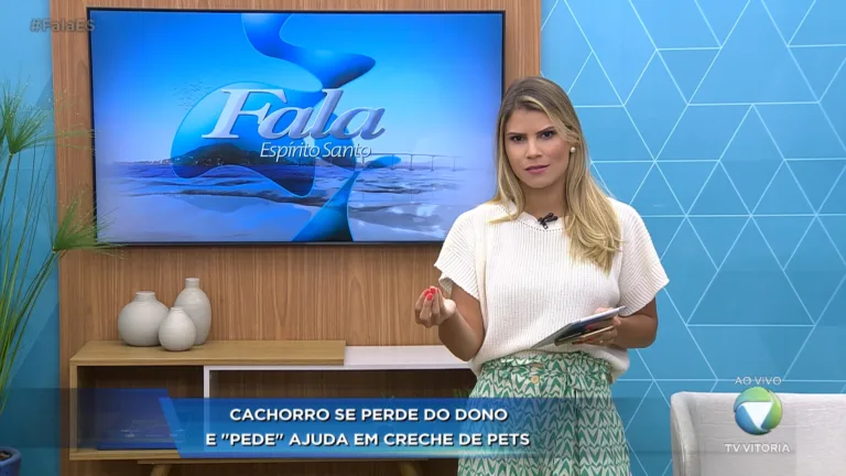 Cachorro se perde do dono e vai parar em creche