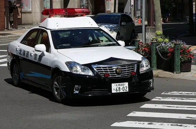 Mulher é presa após ligar mais de 2,7 mil vezes para a emergência