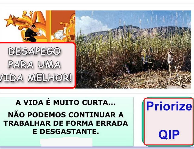 1.887 - A Simplicidade Inteligente do Projeto 5S na vida da Organização