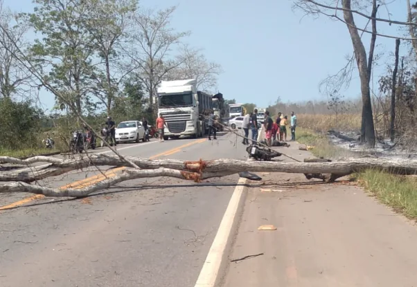 Árvore cai em carro, causa acidente com moto e três pessoas ficam feridas em Aracruz