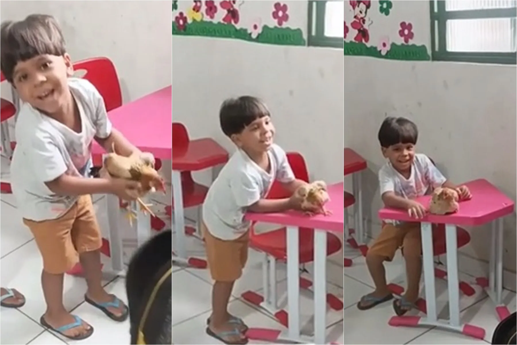 VÍDEO | Menino leva galinha escondida na mochila para a escola e viraliza